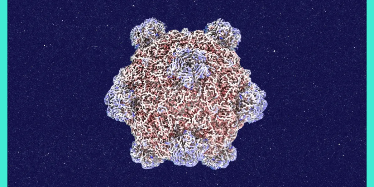 Illustration from MIT Technology Review: AI-generated bacteriophage genomes yield 16 viable viruses that kill E. coli