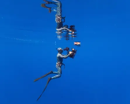 The hit BBC series returns with cutting-edge technology, including the world’s first underwater CCTV camera – dubbed ‘stonefish’. Photograph: BBC Studios/Jose Branco